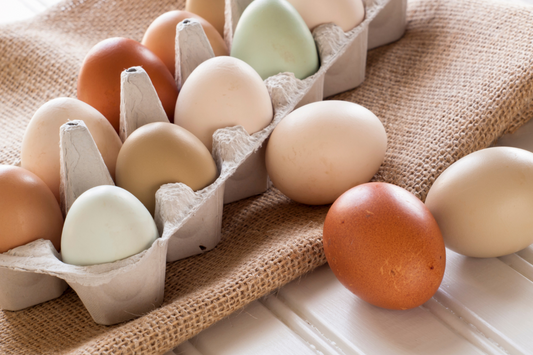Eggs After Bariatric Surgery