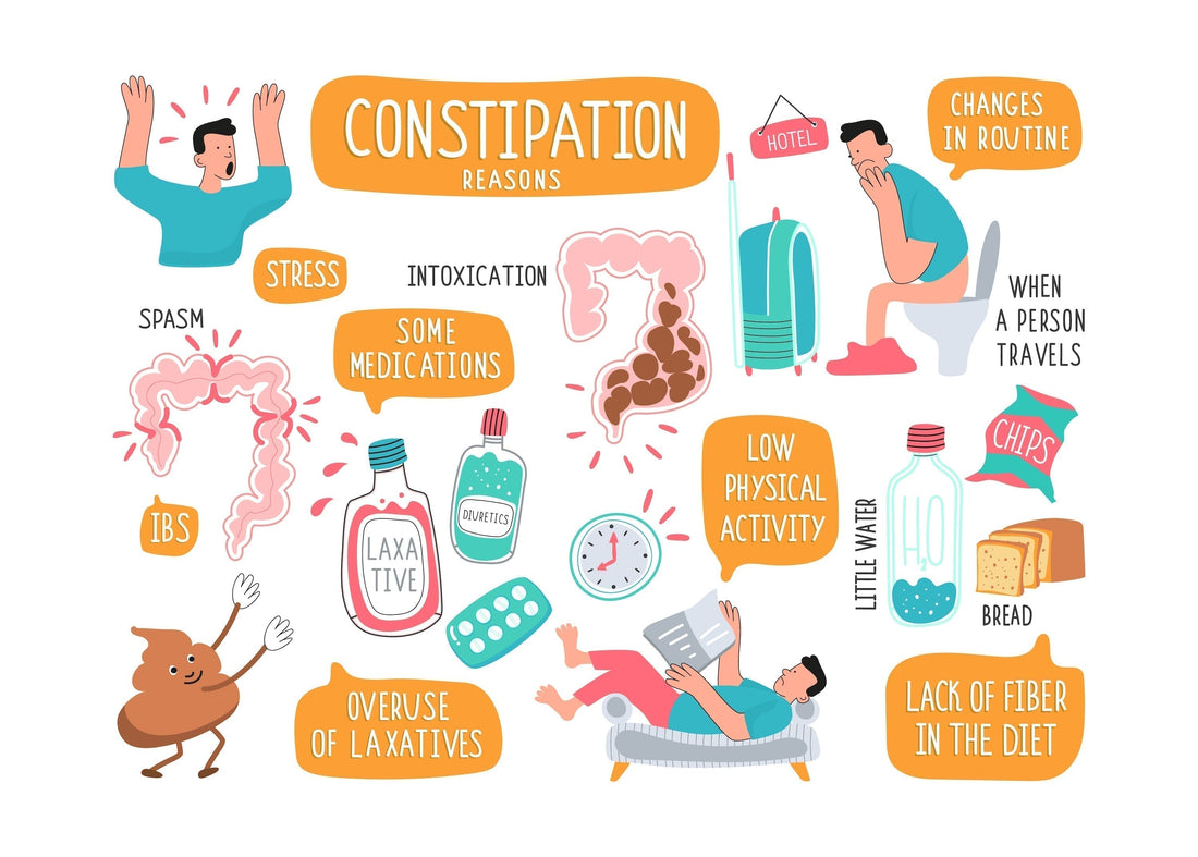 Infographic on constipation and its causes