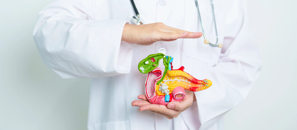 Duodenal Switch Surgery: What to Expect and How to Prepare Nutritionally