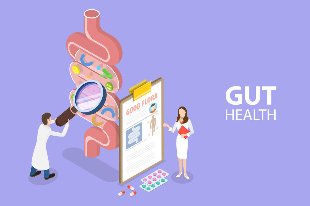 3D Isometric Flat Vector Conceptual Illustration of Gut Health