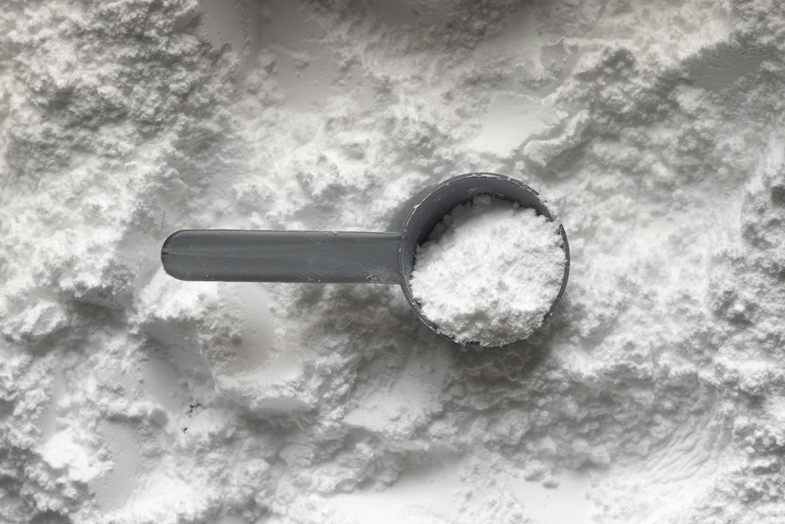 Scoop of protein